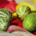 Best Insurance for Cleaning Business