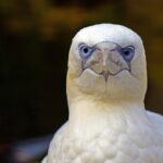 What Insurance Does a Handyman Business Need?