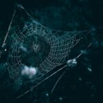Whats important 10 htmlincanvas in web development