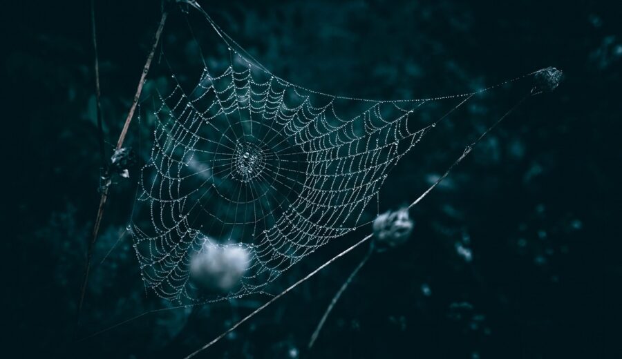 Whats important 10 htmlincanvas in web development